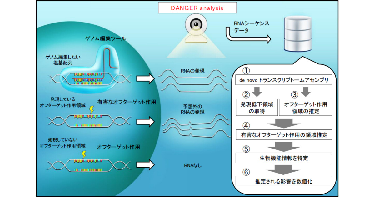広島大、ゲノム編集の安全性を簡易的に評価するソフトウェアを開発