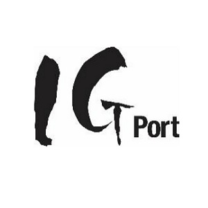 IGポート、漫画配信サービス「マンガドア」運営子会社リンガ・フランカを解散