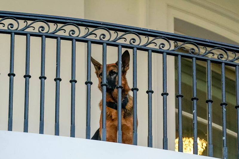 米大統領の愛犬、ホワイトハウスを追い出される