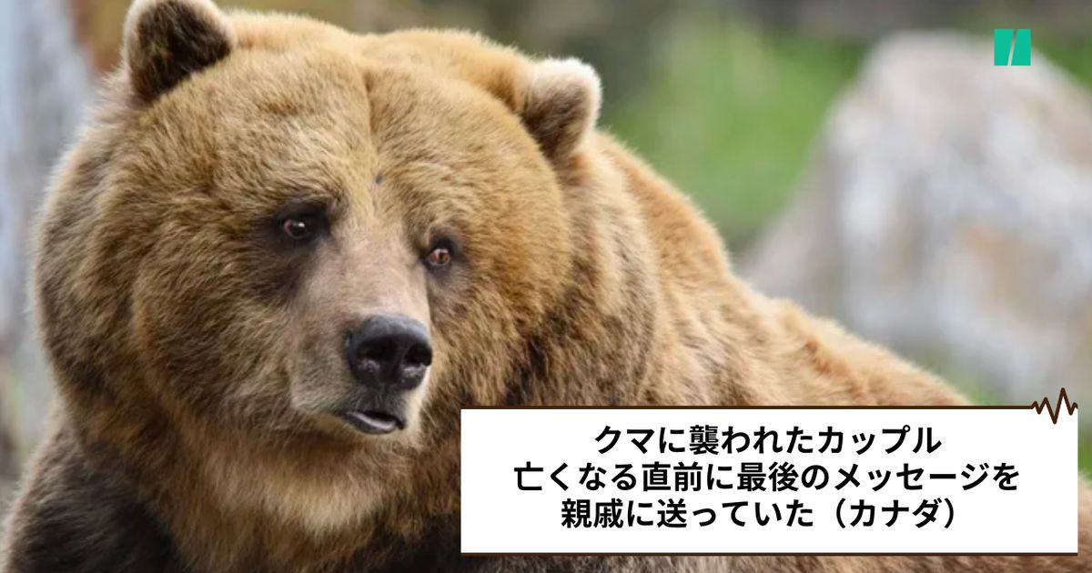 クマに襲われたカップル、亡くなる直前に最後のメッセージを親戚に送っ