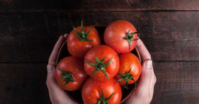 「トマトの丸かじり」ってコスパ良いですか？ お金がなくてあまり野菜を買えないのですが、どうすれば経済的に食べられますか？