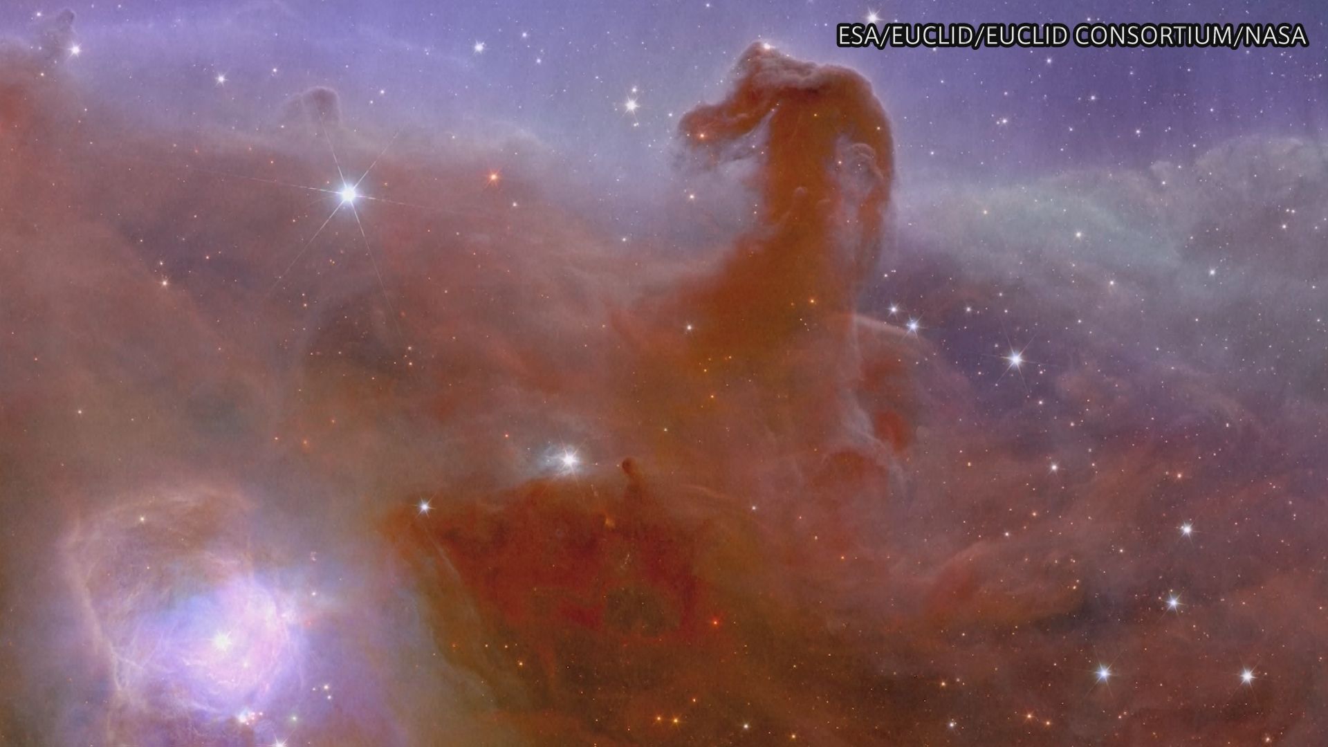 宇宙望遠鏡「ユークリッド」が撮影した星雲など画像公開 「馬頭星雲」など鮮明に
