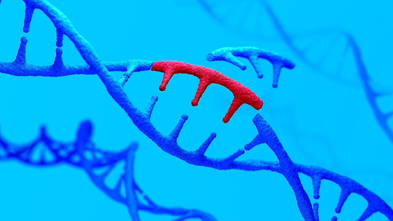 CRISPRによる“ゲノム編集治療”が英国で承認、医療の進歩における歴史的な出来事になる
