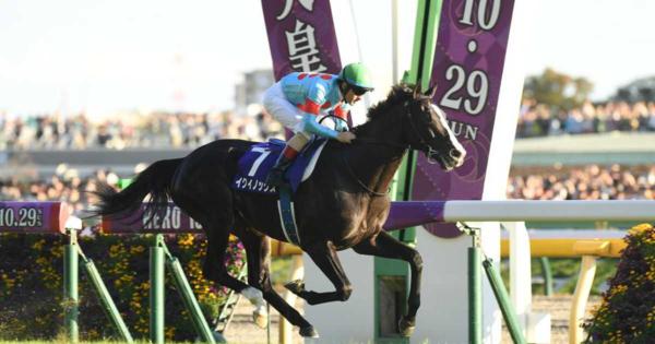 イクイノックスは①枠２番　競馬のジャパンカップ枠順決まる