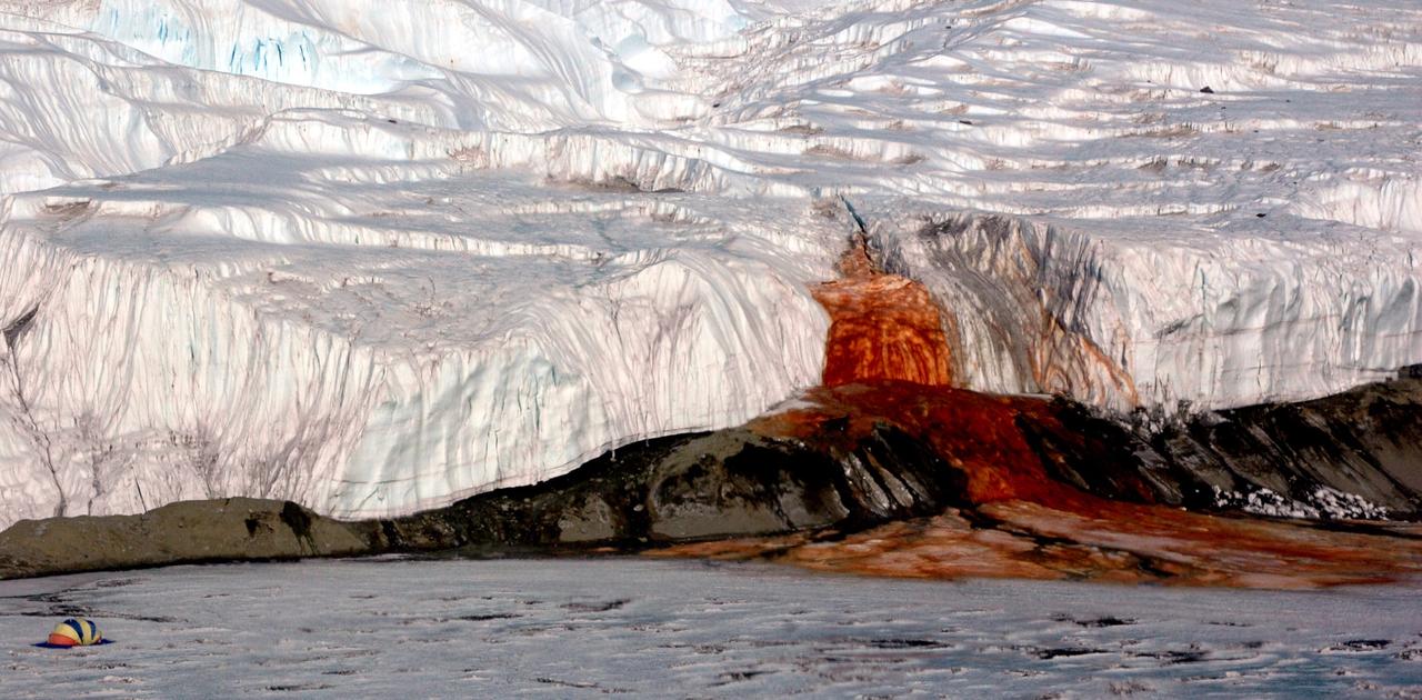 南極で「血の滝」が発生するメカニズムを科学者が解明