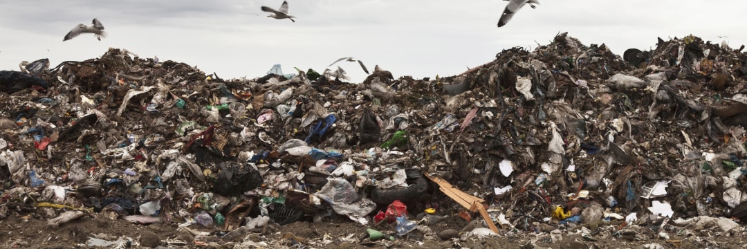 日本で大量に廃棄される「衣料品」、重さにして51万トン「ヤバすぎる廃棄量」の「根本的な原因」と企業の責務