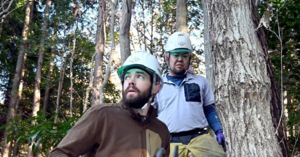 チェーンソーで木々倒す元米軍隊員、任務より林業を選んだのは「家族との時間」守るため　山口県岩国市