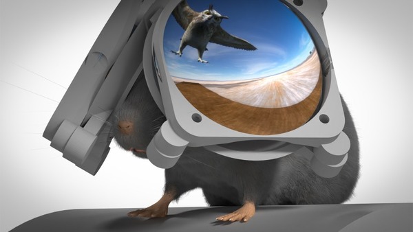 研究者が実験用マウス向けVRヘッドセットを開発。頭上からの鳥の襲来への反応など調査のため