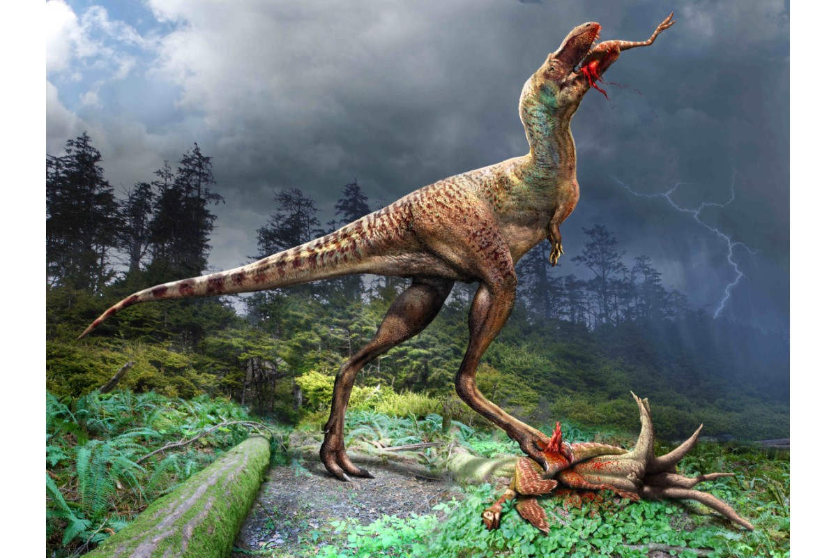 胃に獲物が残るティラノ科化石を初発見　ゴルゴサウルス幼体
