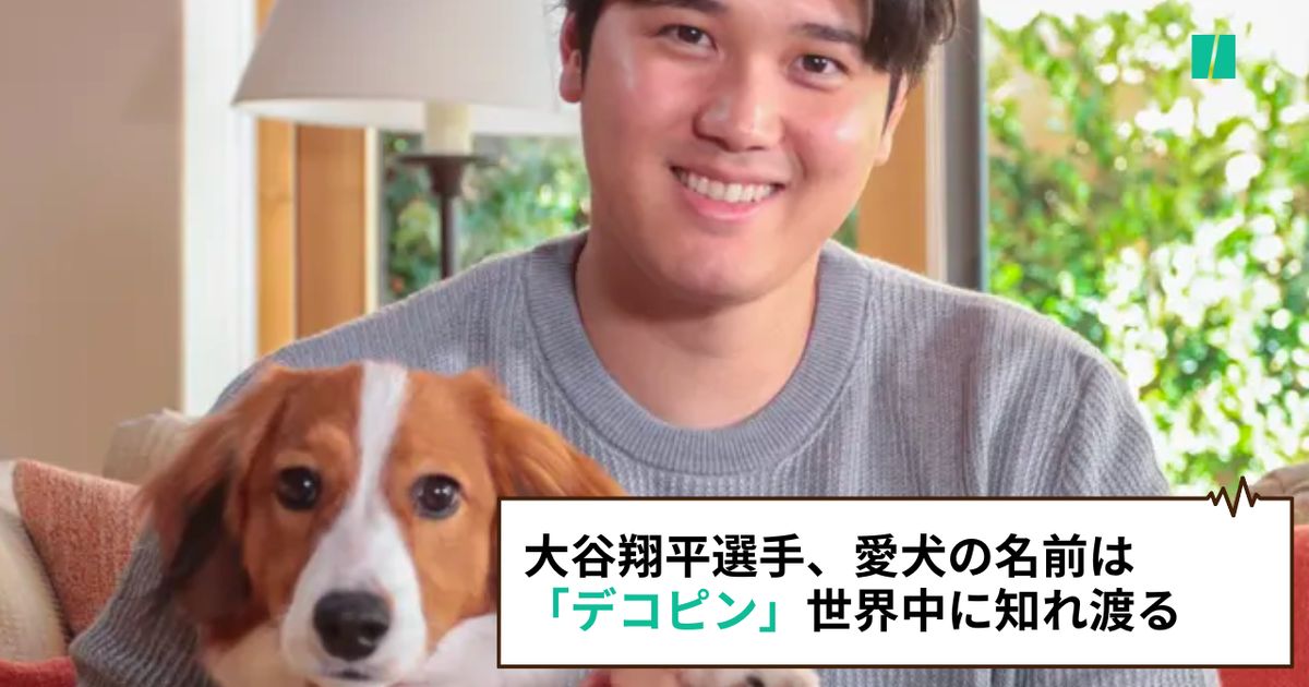 大谷翔平選手、愛犬の名前は「デコピン」。水原一平さんが明快に通訳し世界中に知れ渡る【記者会見】