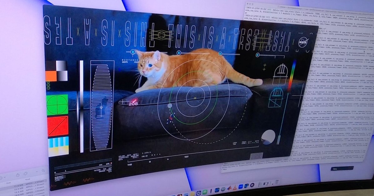 これが本当の“宇宙猫”？　米NASA、約3100万km先の宇宙の果てから“猫動画”の送信に成功
