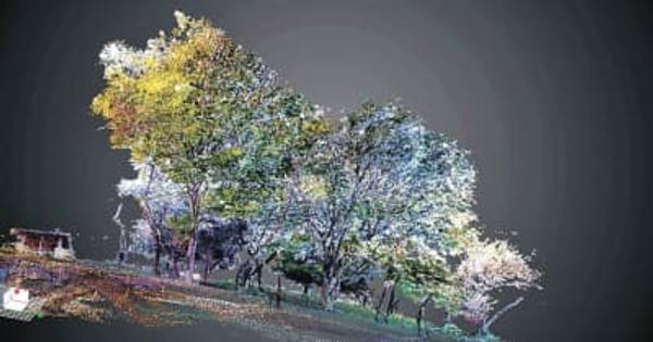 国内初　冬桜回復へドローン活用　桜山の樹木測定し3D化　赤外線で活力度も調査　群馬・藤岡市