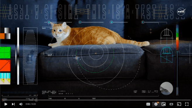NASA、遠い星から猫動画を配信する
