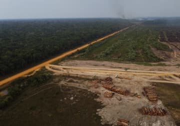 アマゾン熱帯林消失、前年比半減　23年、ブラジルが保護強化