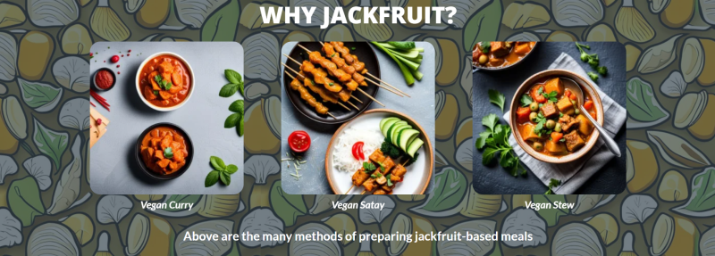 “ジャックフルーツ”由来の肉代替品で、マレーシア国民の健康を増進。フードテック企業Nankaの技術に注目