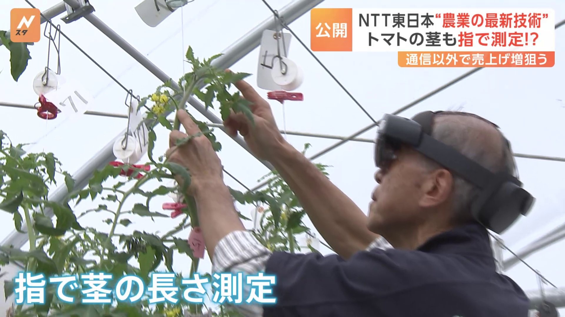 NTT東日本がスマート農業の技術を公開　少子高齢化や担い手不足に対応する考え