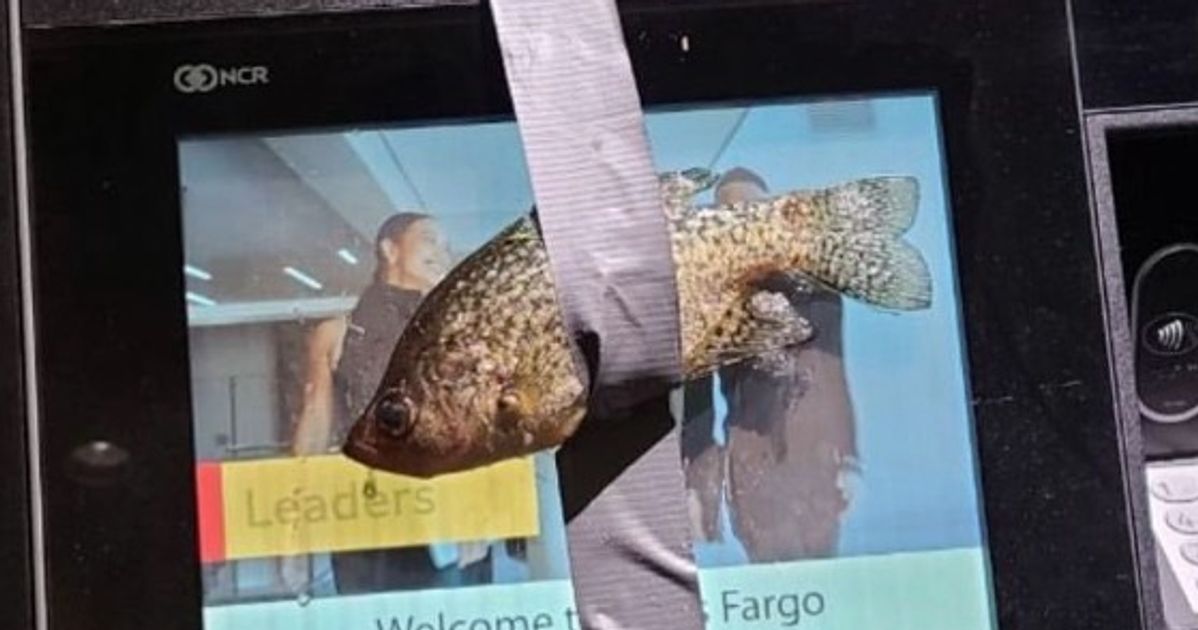 ATMに魚を貼り付けた米17歳を逮捕。日本への進出をにおわせる投稿も