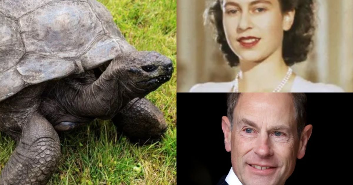 世界最高齢192歳のカメ、英エドワード王子と挨拶交わす。77年前