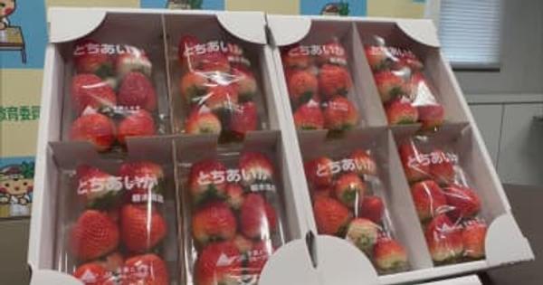 「子どもたちに日本一の栃木のイチゴを」　ＪＡグループ栃木が学校給食用にイチゴ寄贈