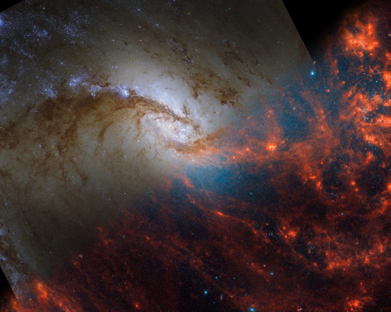 ウェッブとハッブル、2つの宇宙望遠鏡で観測した“ろ座”の銀河「NGC 1365」