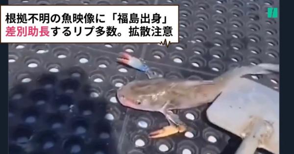 魚のえらからハサミ？根拠不明の映像に「福島魚」「福島出身」。差別や偏見を助長、拡散に注意