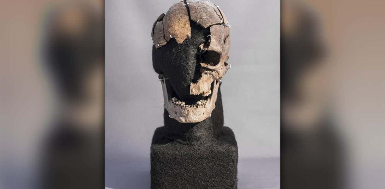 5千年前に殺された男の歯から、彼の人生を解読できた