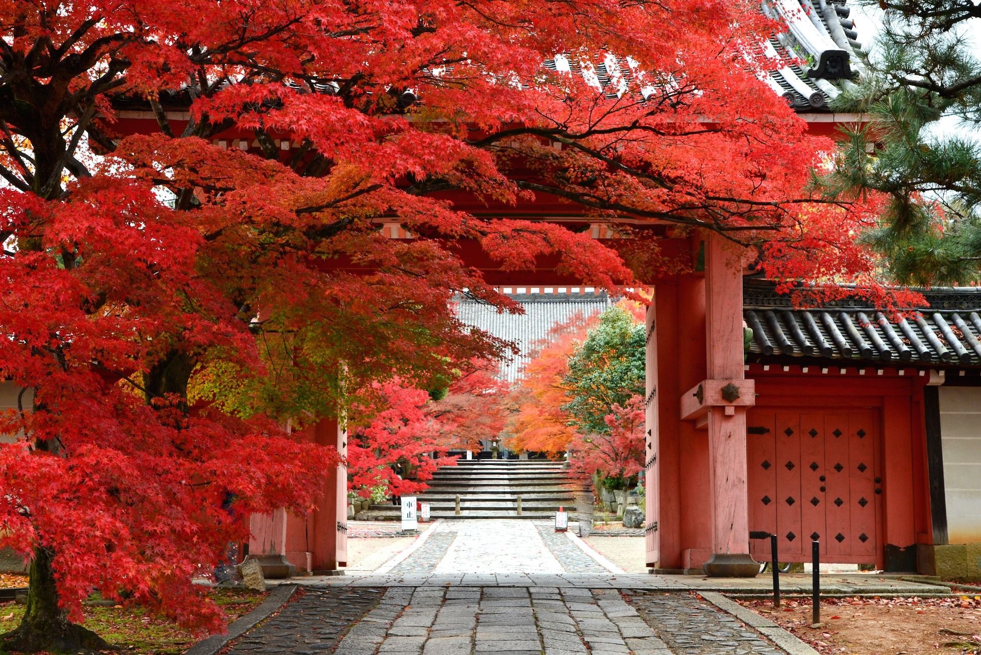 『光る君へ』藤原道長の嫡妻・源倫子はどんな人？6人の子供を出産、90歳の長寿をまっとうした生涯 紫式部と時代を生きた人々のゆかりの地（第7回