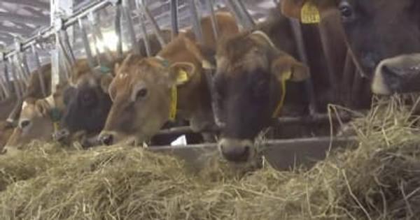 家畜をストレスの少ない環境で飼育「アニマルウェルフェア」PR　食品流通業者など招待　山梨
