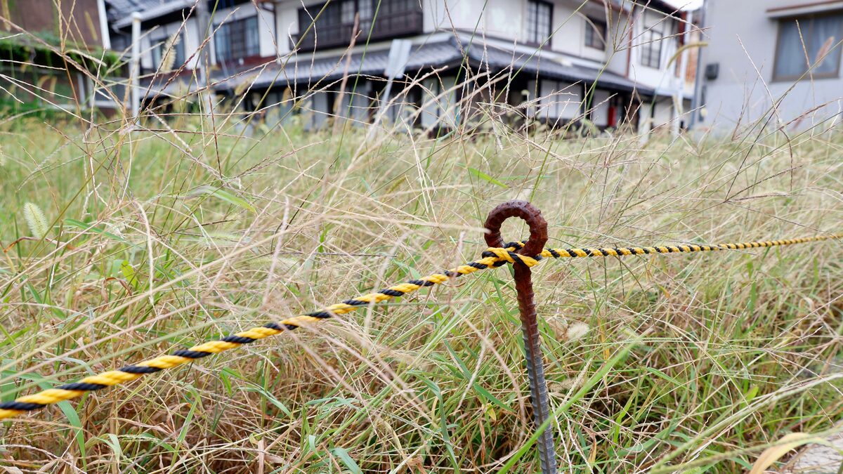 なぜ｢絶対に売れない土地の草刈り｣が続くのか…千葉県郊外でよく見る｢売地｣という看板のウラにある事情