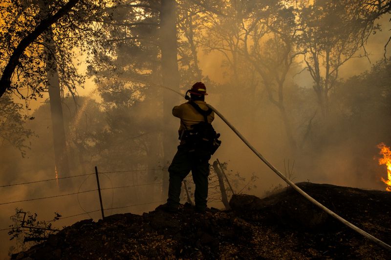 アングル：今年は山火事増加も、米で懸念される深刻な「対応力」の低下