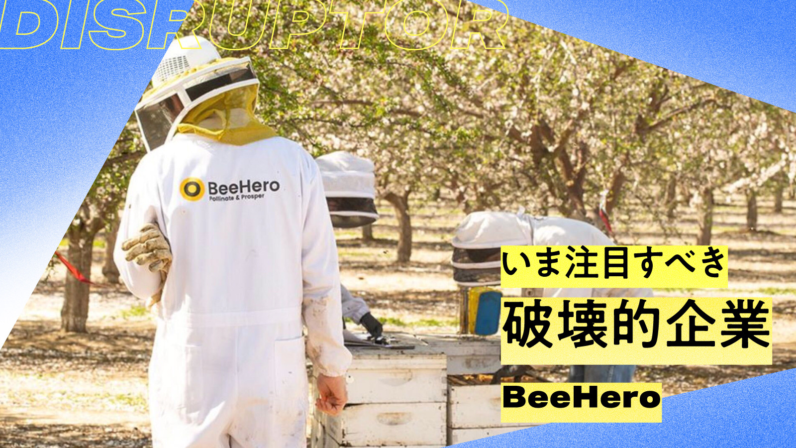 ミツバチで食糧難に立ち向かうイスラエル発の農業テック「ビーヒーロー」