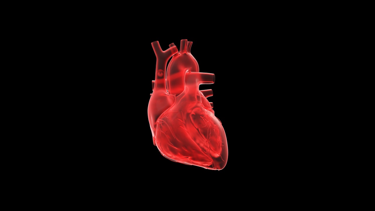 ポストコロナ時代の心不全リスクに布石、ヒトiPS細胞からつくる「心臓オルガノイド」が秘めた可能性
