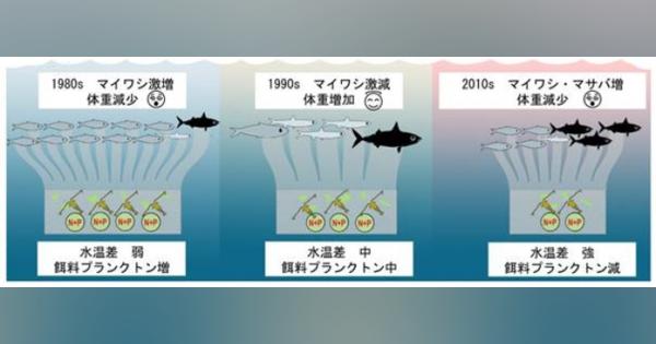 日本周辺海域の魚類が小型化　地球温暖化の影響　東大