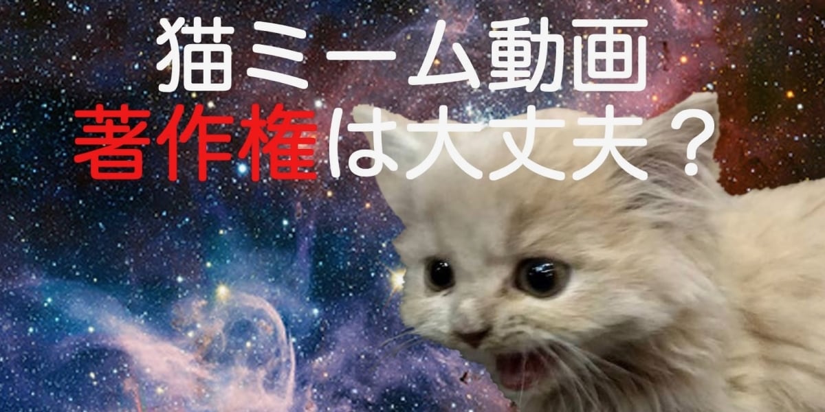 大人気の「猫ミーム」動画、米津玄師さんやグッズまで登場元ネタの著作権侵害にはあたらないの？