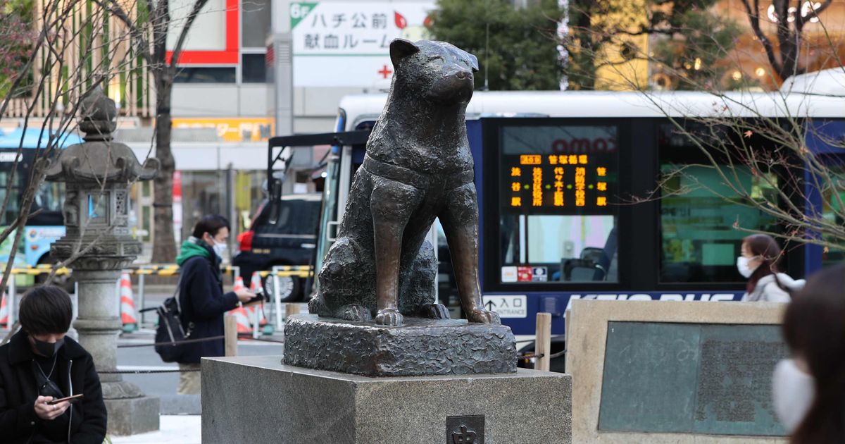 「ハチ公」像があるのは渋谷だけじゃなかった。3月8日はハチ公が亡くなった日、都内の大学にも
