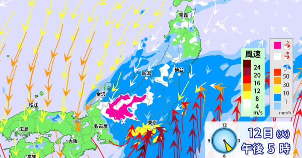 関東で激しい雷雨のおそれ　道路の冠水・落雷・突風に注意を　沿岸は暴風・高波に警戒