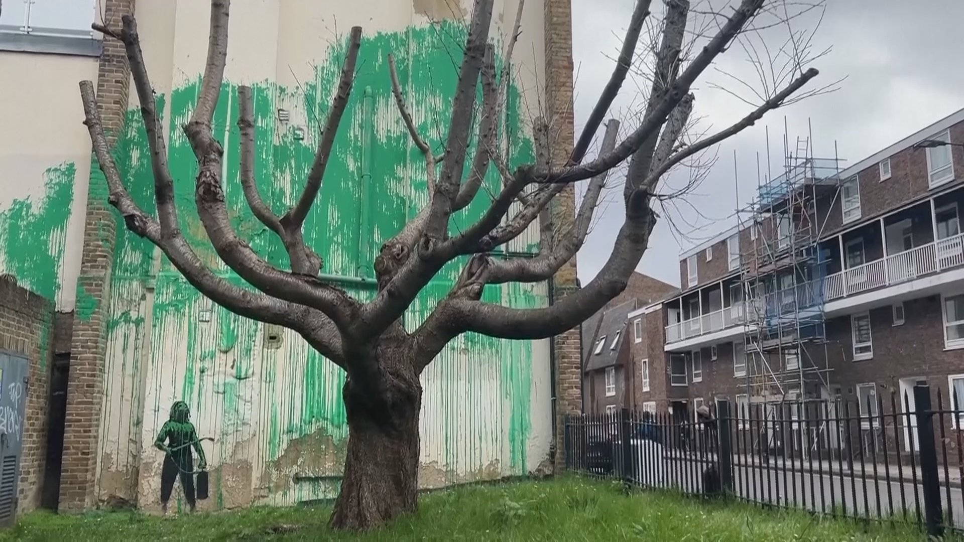 バンクシー新作　裸木と壁画で“葉が茂った木”に