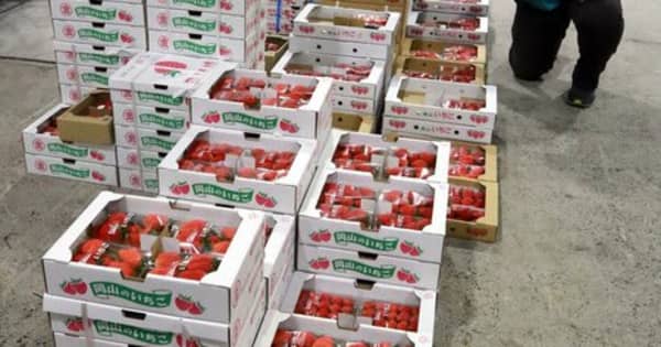 野菜や果物が届かない　中国地方の卸売市場に異変　運送業者、深夜や未明の運送を敬遠