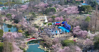 花見客でにぎわう桜の名所　中国江蘇省無錫市