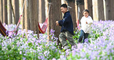 春の陽気、週末の風景区に人出　中国江蘇省