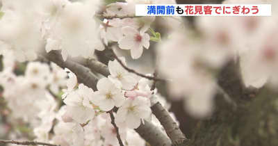 「満開になったらすごくきれいだろう」サクラの開花後 初の日曜日　縮景園や平和公園　花見客でにぎわう　広島