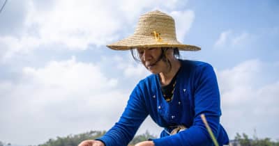 「明前茶」の茶摘みに勤しむ茶農家　中国湖南省