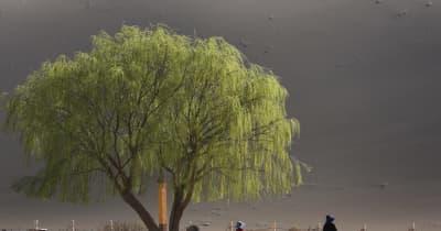 鳴沙山・月牙泉風景区に新緑の季節　中国甘粛省敦煌市