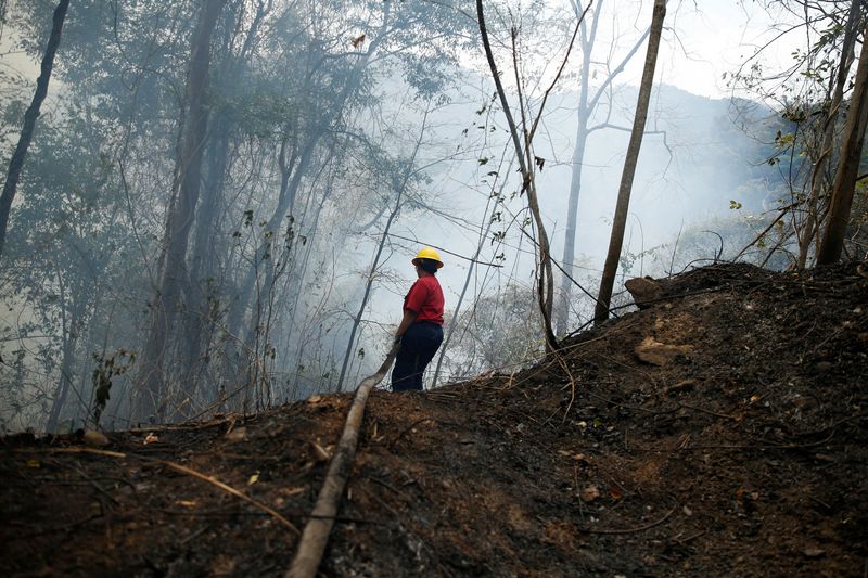 ベネズエラ森林火災が過去最多3万超、アマゾン干ばつ影響　1─3月