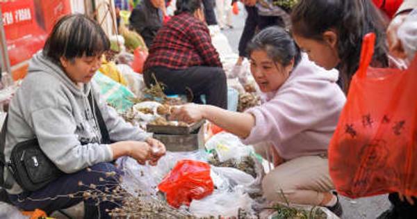 中国・武夷山市で民俗行事「蝋燭会」開催、薬草が人気商品に