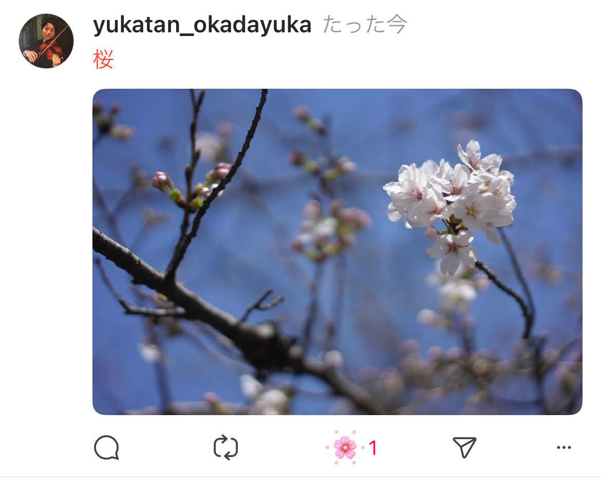 Threads「いいね！」に桜咲く