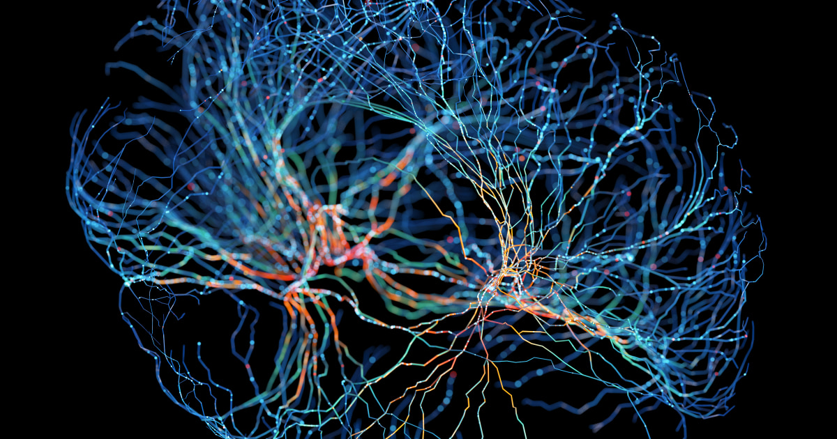 160億の脳神経をスーパーコンピュータで再現して見えてきた「驚きの脳の実態」