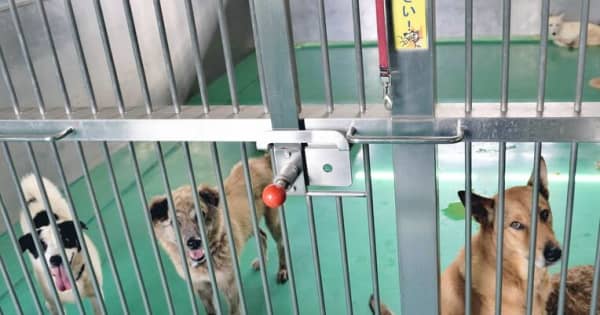 沖縄の犬猫殺処分　2023年度は過去最少の167匹　譲渡適性の処分は犬が初めてゼロ