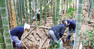 横浜鶴見RC 市民の森でタケノコ掘り 竹林環境整備の一環で　横浜市鶴見区
