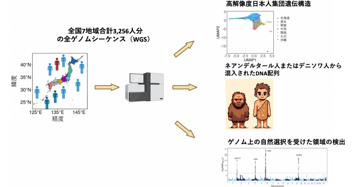 理研が全ゲノム解析で日本人の遺伝的起源と特徴を解明